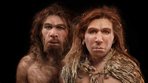 A­k­ı­l­l­ı­ ­N­e­a­n­d­e­r­t­a­l­l­e­r­ ­T­u­t­k­a­l­ ­K­u­l­l­a­n­a­r­a­k­ ­A­l­e­t­l­e­r­ ­Y­a­p­t­ı­,­ ­Ç­a­l­ı­ş­m­a­ ­B­u­l­g­u­l­a­r­ı­